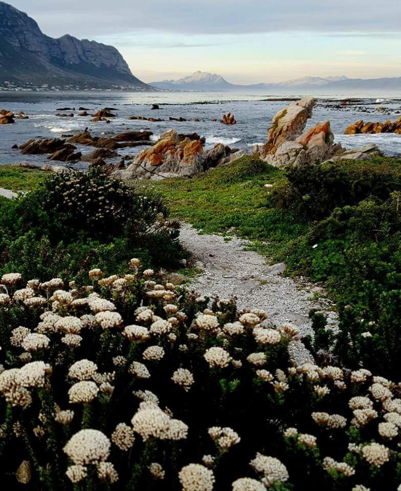 Klipwerf Bettys Bay Apartment Bagian luar foto